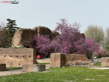 Parcul Arheologic Colosseum din Roma 125