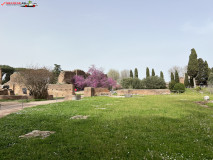 Parcul Arheologic Colosseum din Roma 126