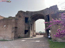 Parcul Arheologic Colosseum din Roma 128