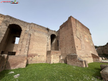 Parcul Arheologic Colosseum din Roma 132