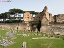 Parcul Arheologic Colosseum din Roma 146