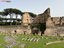 Parcul Arheologic Colosseum din Roma 152