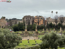 Parcul Arheologic Colosseum din Roma 17