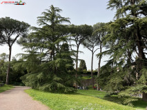 Parcul Arheologic Colosseum din Roma 173