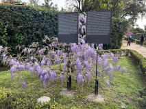 Parcul Arheologic Colosseum din Roma 178