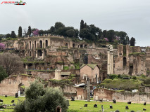 Parcul Arheologic Colosseum din Roma 19