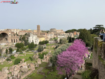 Parcul Arheologic Colosseum din Roma 203