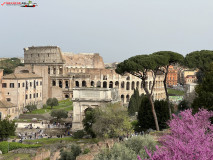 Parcul Arheologic Colosseum din Roma 205