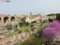 Parcul Arheologic Colosseum din Roma 206