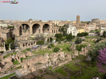 Parcul Arheologic Colosseum din Roma 207