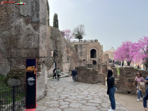 Parcul Arheologic Colosseum din Roma 209