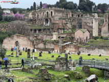 Parcul Arheologic Colosseum din Roma 23