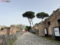 Parcul Arheologic Colosseum din Roma 236