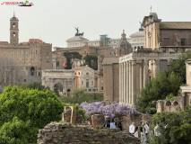 Parcul Arheologic Colosseum din Roma 245