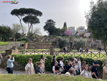 Parcul Arheologic Colosseum din Roma 250