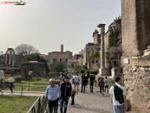 Parcul Arheologic Colosseum din Roma 252