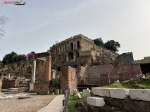 Parcul Arheologic Colosseum din Roma 264