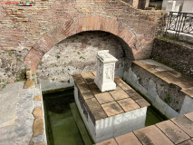 Parcul Arheologic Colosseum din Roma 273