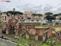 Parcul Arheologic Colosseum din Roma 29