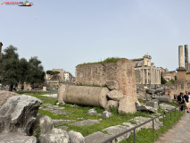 Parcul Arheologic Colosseum din Roma 307