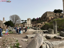 Parcul Arheologic Colosseum din Roma 309