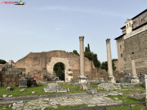 Parcul Arheologic Colosseum din Roma 313