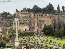 Parcul Arheologic Colosseum din Roma 38