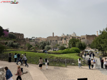 Parcul Arheologic Colosseum din Roma 51