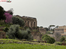 Parcul Arheologic Colosseum din Roma 53