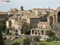 Parcul Arheologic Colosseum din Roma 71