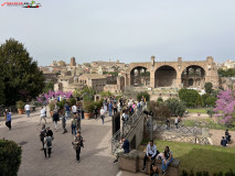 Parcul Arheologic Colosseum din Roma 74