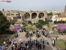 Parcul Arheologic Colosseum din Roma 83