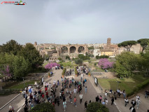 Parcul Arheologic Colosseum din Roma 84