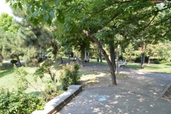 Parcul Circului Bucuresti 5