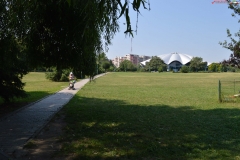 Parcul Circului Bucuresti 9