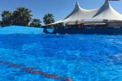 Aqualand Insula Corfu 46