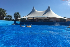 Aqualand Insula Corfu 47