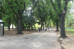 Parcul Herăstrău din Bucuresti 06