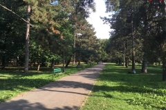 Parcul Herăstrău din Bucuresti 120