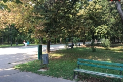 Parcul Herăstrău din Bucuresti 121