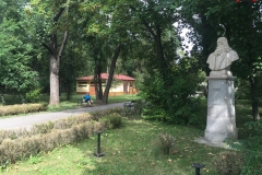 Parcul Herăstrău din Bucuresti 13