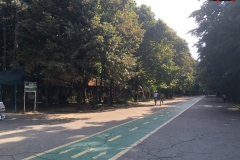 Parcul Herăstrău din Bucuresti 130