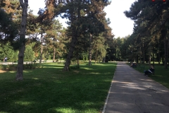 Parcul Herăstrău din Bucuresti 131