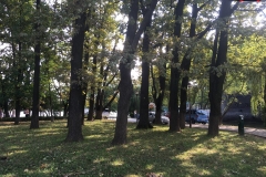 Parcul Herăstrău din Bucuresti 133
