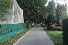 Parcul Herăstrău din Bucuresti 134