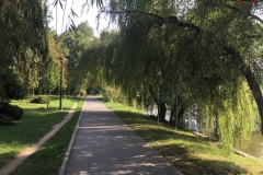 Parcul Herăstrău din Bucuresti 136