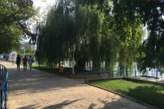 Parcul Herăstrău din Bucuresti 145