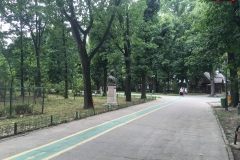 Parcul Herăstrău din Bucuresti 22