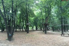 Parcul Herăstrău din Bucuresti 27