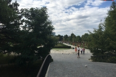 Parcul Herăstrău din Bucuresti 32